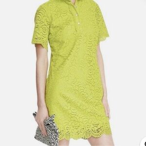 Banana Republic Vibrant Lace Dress in Yellow